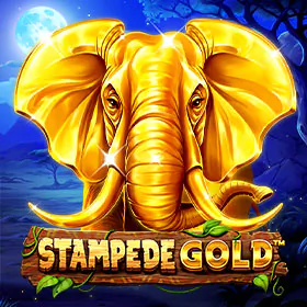 Stampede Gold